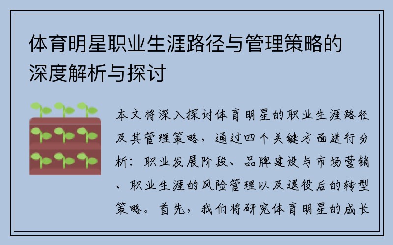 体育明星职业生涯路径与管理策略的深度解析与探讨